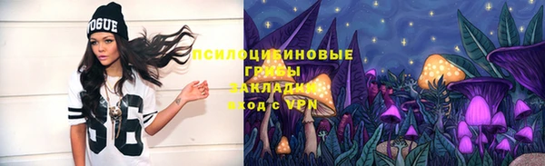 mdpv Новокубанск