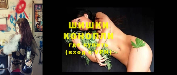 эйфоретик Новодвинск