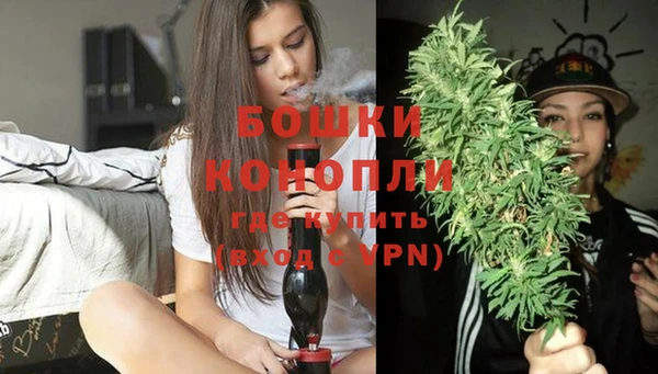 эйфоретик Новодвинск