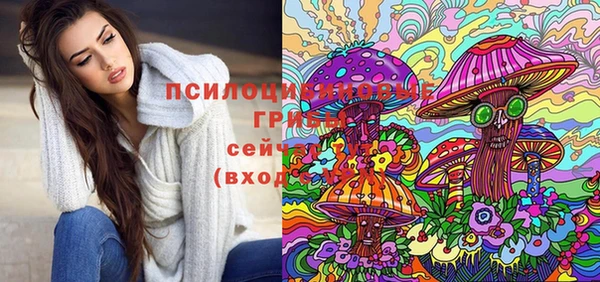 mdpv Новокубанск