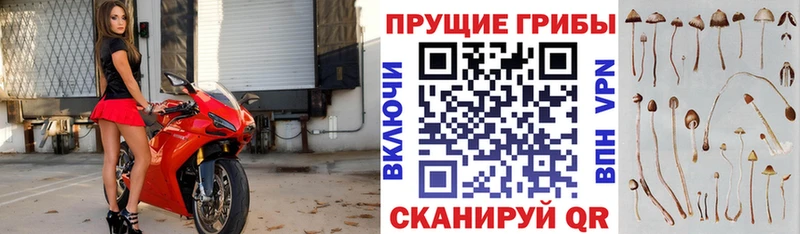 Псилоцибиновые грибы Magic Shrooms  Николаевск-на-Амуре 